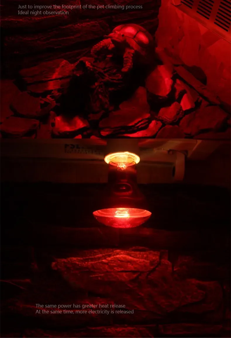 נורת חימום אינפרא אדום לזוחלים